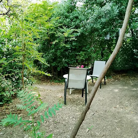 Apartment Garden In The Center *