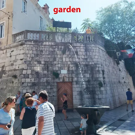 Garden In The Center * Split