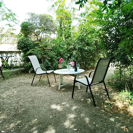 Apartment Garden In The Center Split