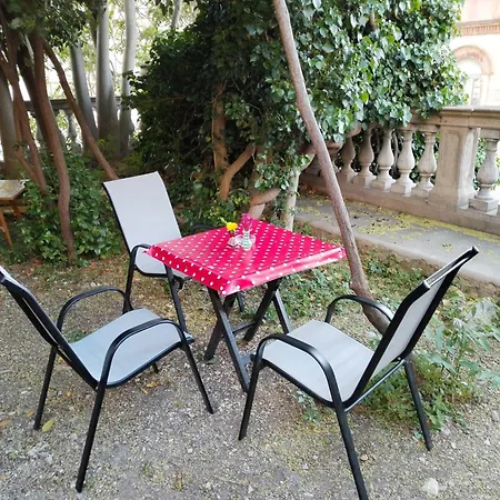 Garden In The Center Apartment