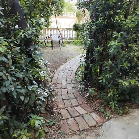 Apartment Garden In The Center Split