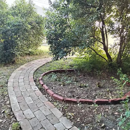 Garden In The Center Apartment *