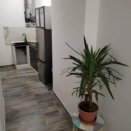 Garden In The Center *